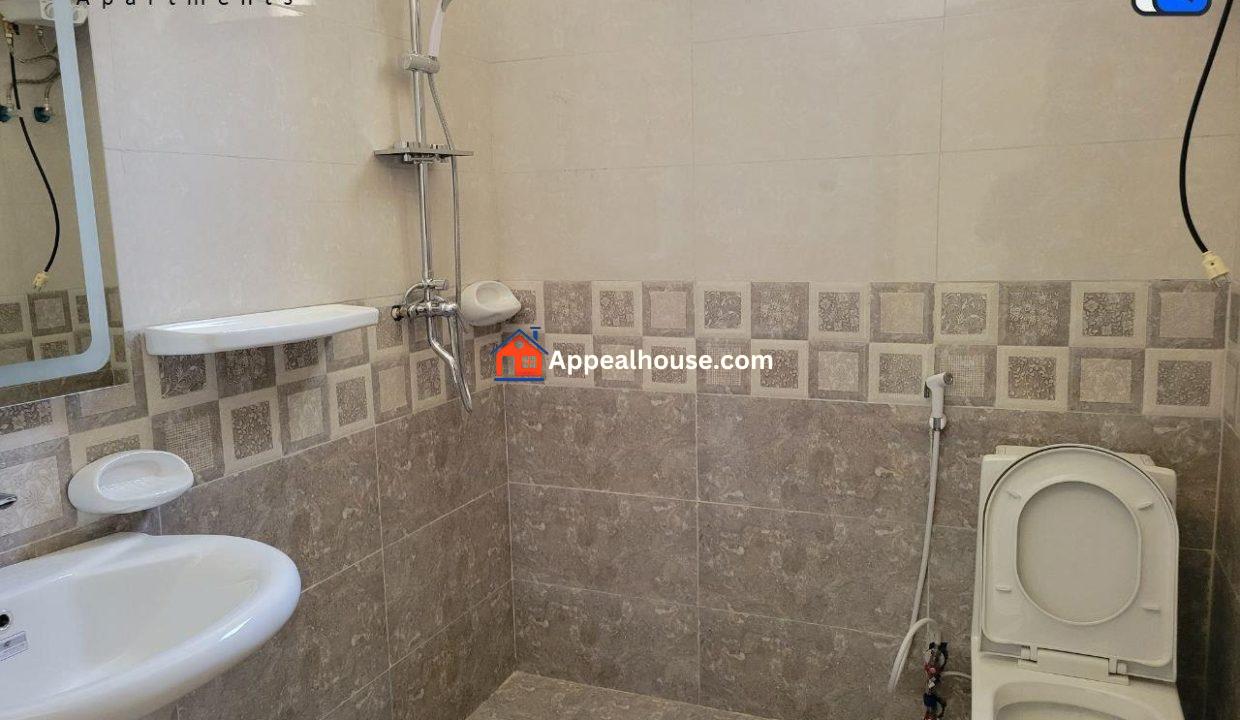Apartment for sale 14,700,000 Br - Addis Ababa Summit 5