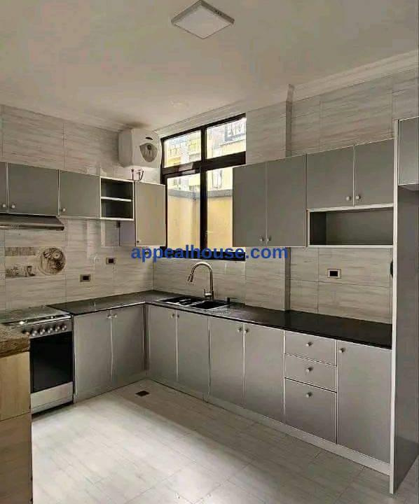 Modern villa for sale 18,500,000 Br - Addis Ababa (1)