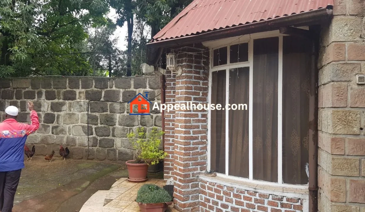 1766818523356_2om0w671lxw_1766818440305_iqjcwpgrwg_photo_1_20251227_095319