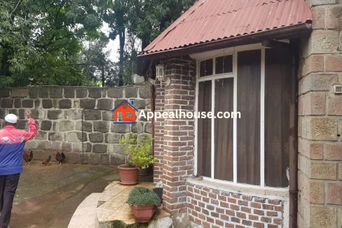 1766818523356_2om0w671lxw_1766818440305_iqjcwpgrwg_photo_1_20251227_095319