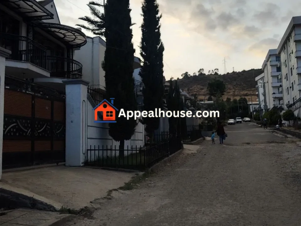 1767333260997_cvo058p8tnd_photo_1_20260102_084817