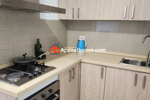 3BR Furnished Apartment for Rent in Hayahulet, Addis Ababa Ethiopia 4
