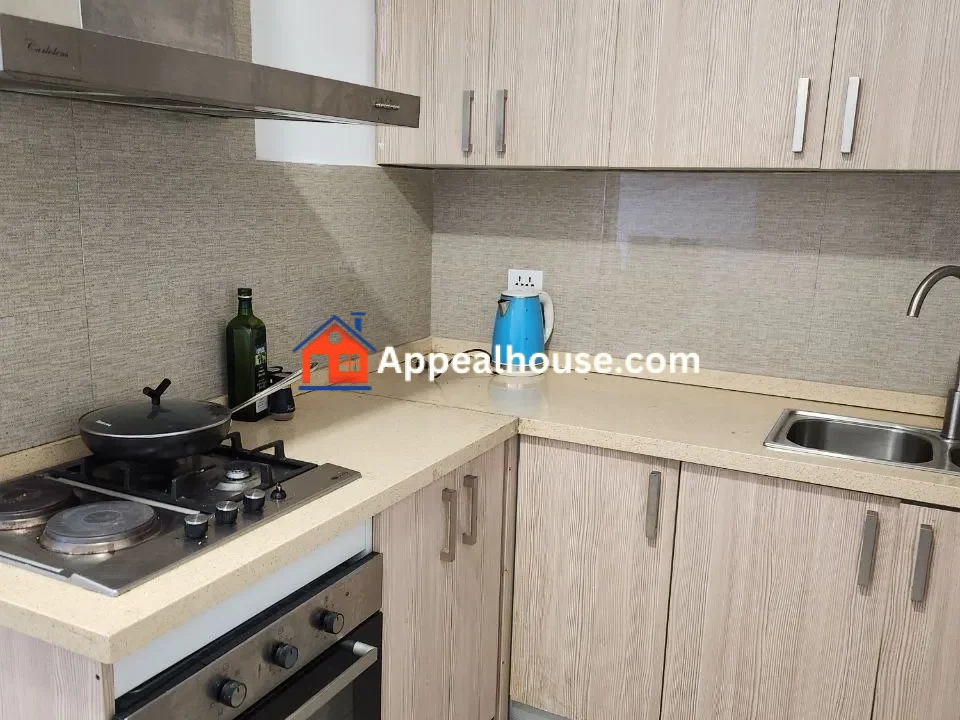 3BR Furnished Apartment for Rent in Hayahulet, Addis Ababa Ethiopia 4
