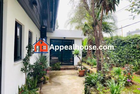 483874838_646436958134515_3720428229396563763_n