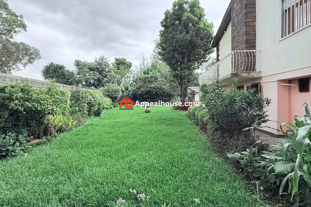 583333379_1486159020183429_2888957774427861967_n