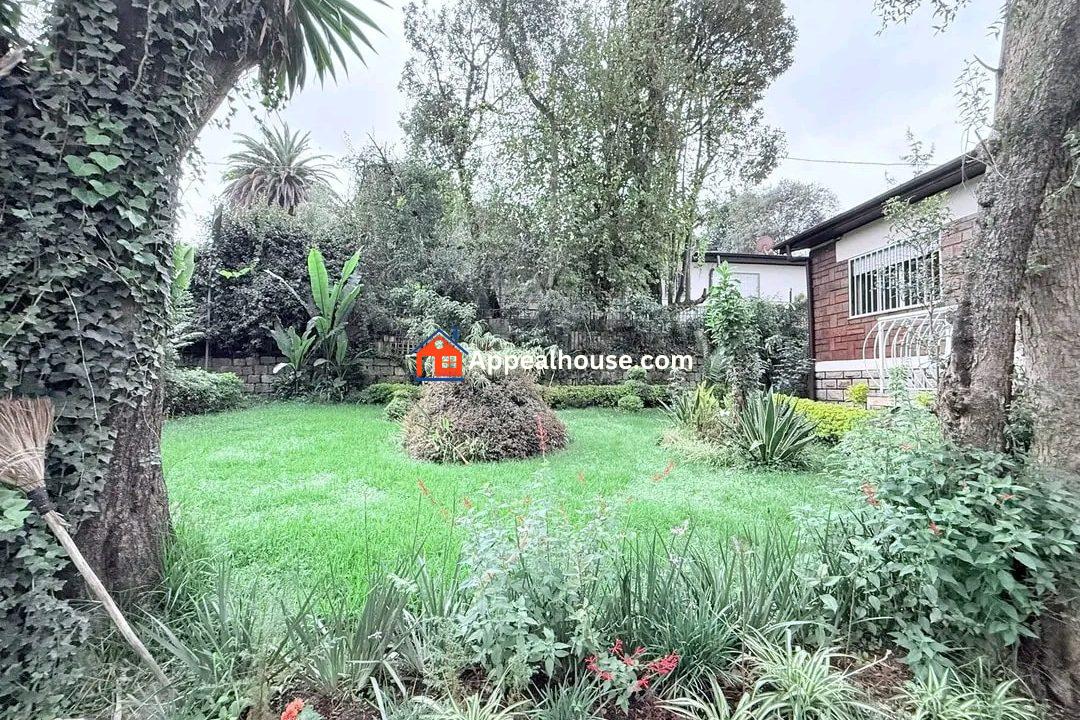 583862548_1486158966850101_371936533114008442_n