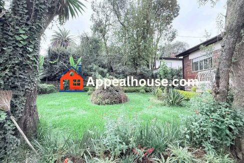 583862548_1486158966850101_371936533114008442_n