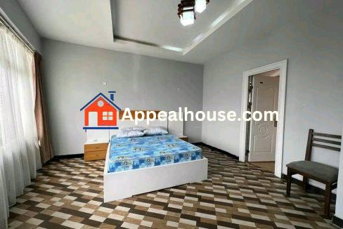 586099447_1293627932569134_4100066855315883059_n