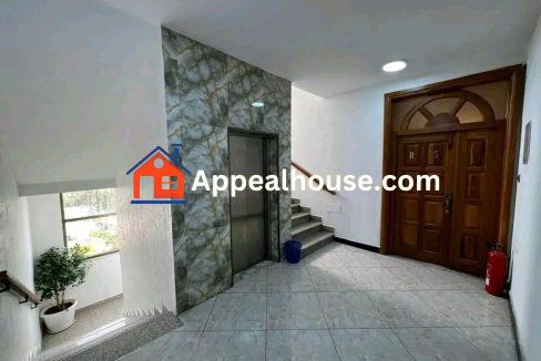 587007213_1293628142569113_2201490640206040159_n