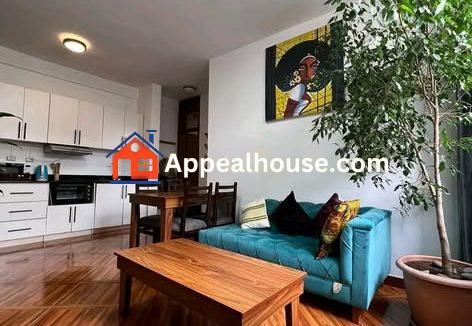 587031835_1491932992939365_4212898563397527930_n