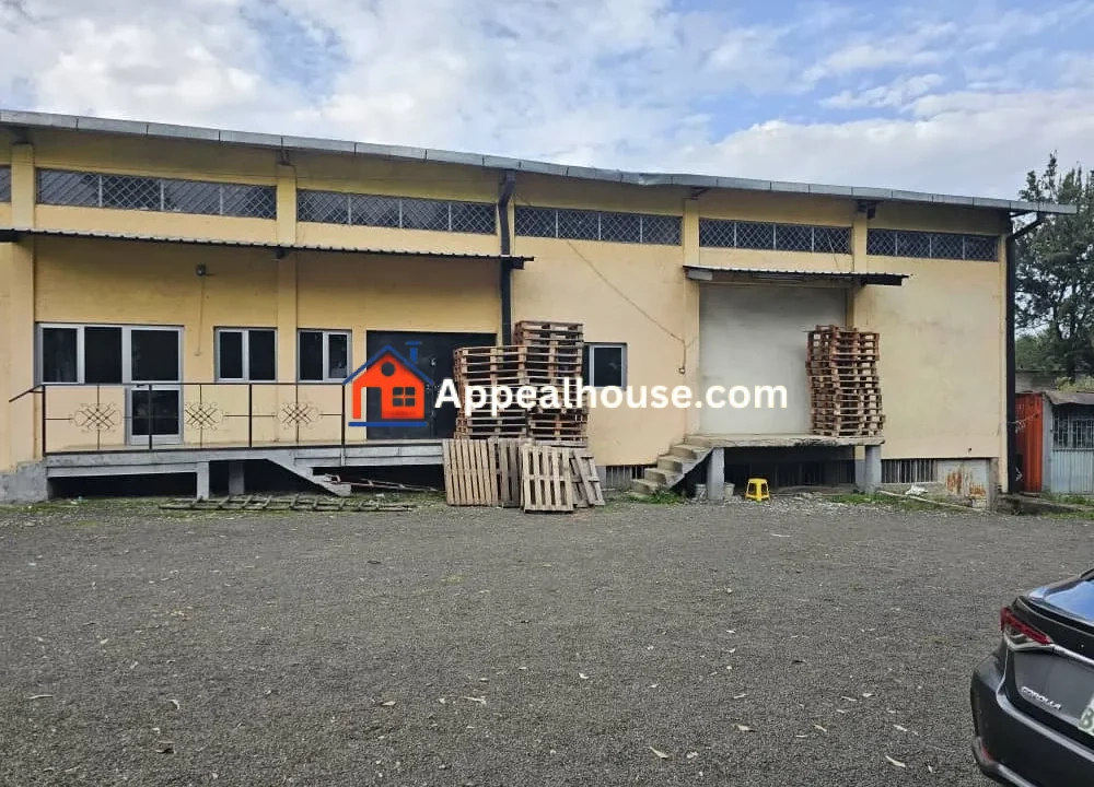 1760167413975_7tth2ytc2zk_1760167323062_7qgnciksq0i_photo_20251011_102019