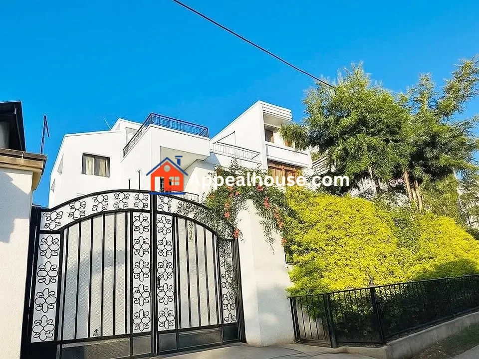 1761387911674_wudhcfs2omh_photo_2_20251025_131919 (1)