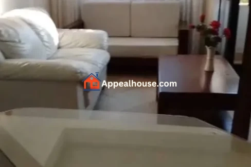 Cozy 1BR Apartment for Rent in Addisu Gebeya, Addis Ababa Convenient Central Location 4