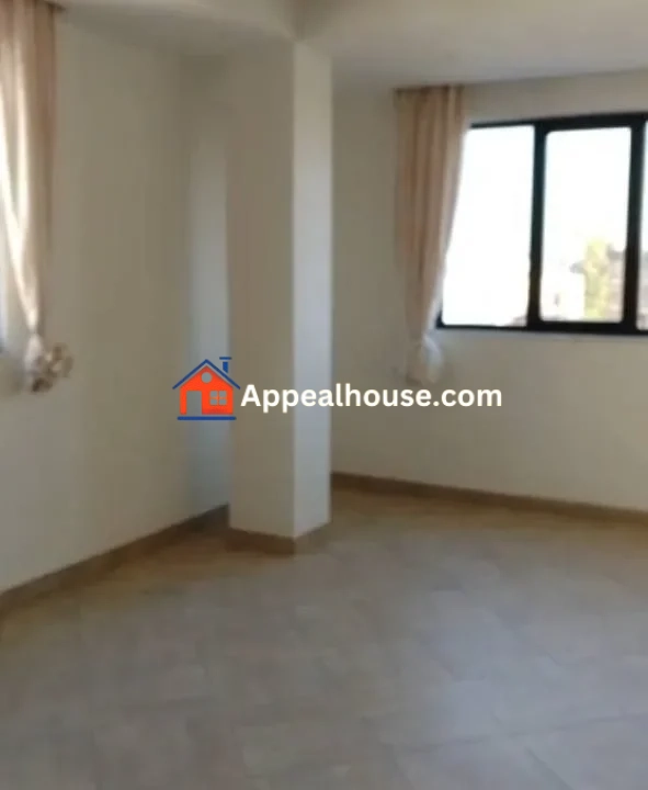 Modern 2BR Apartment for Rent in Addisu Gebeya, Addis Ababa Prime Location
