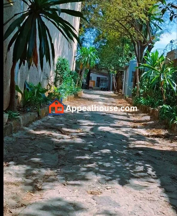 Spacious Luxury Villa for Rent – Gotera (Lancha Area), Addis Ababa 3