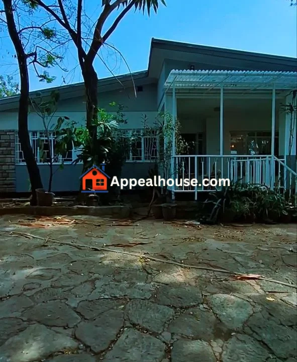 Spacious Luxury Villa for Rent – Gotera (Lancha Area), Addis Ababa 5