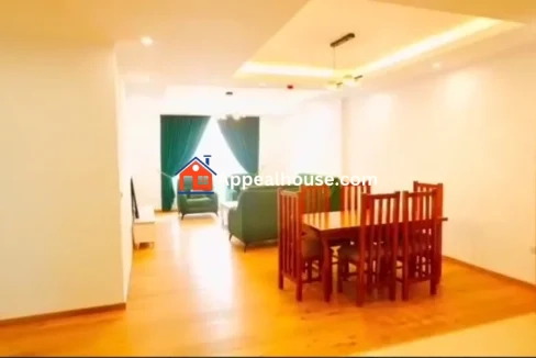 Spacious Modern Apartment for Rent – Near Bole International Airport 6