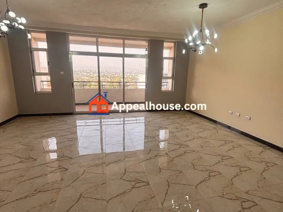 1771923324305_xfqr8jo7qj_1771923253125_nbcjw2cp4h_photo_20260217_091859