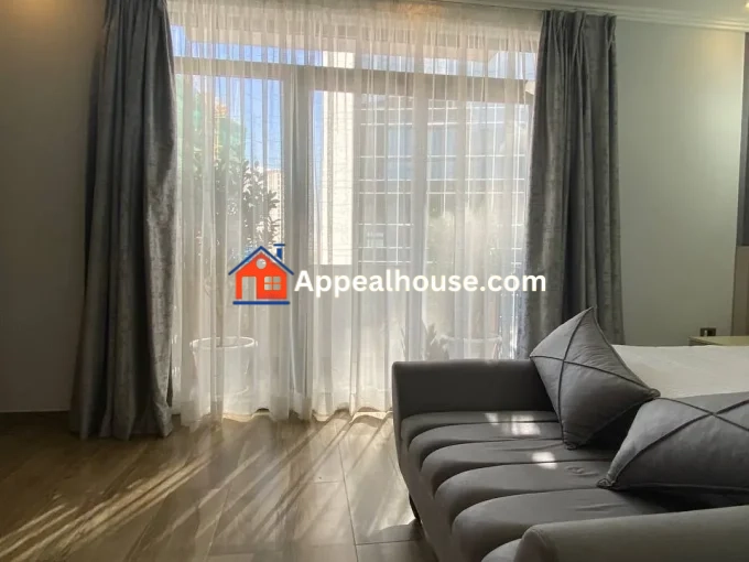 Fully Furnished 1-Bedroom For Rent in Bole, Addis Ababa Ethiopia