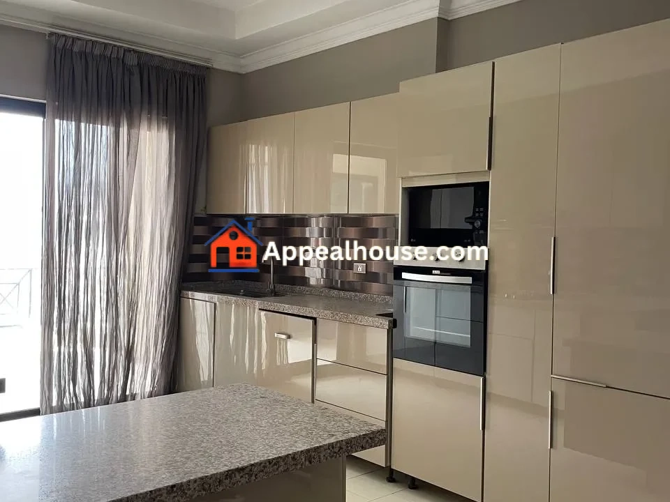 Fully furnished Penthouse for Rent in Bole 2