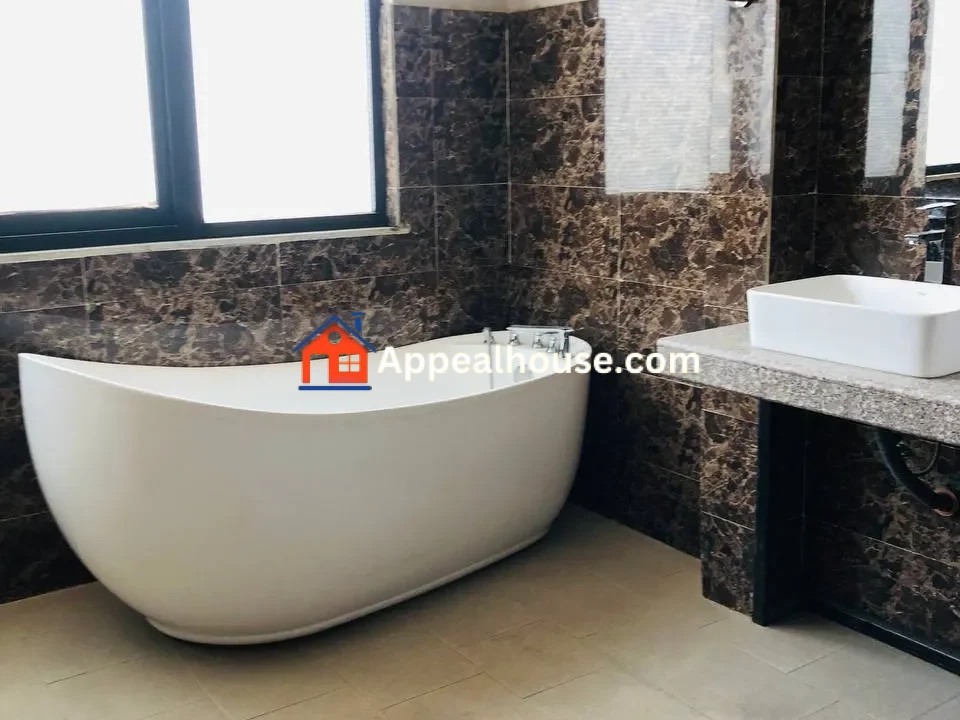 Fully furnished Penthouse for Rent in Bole 4