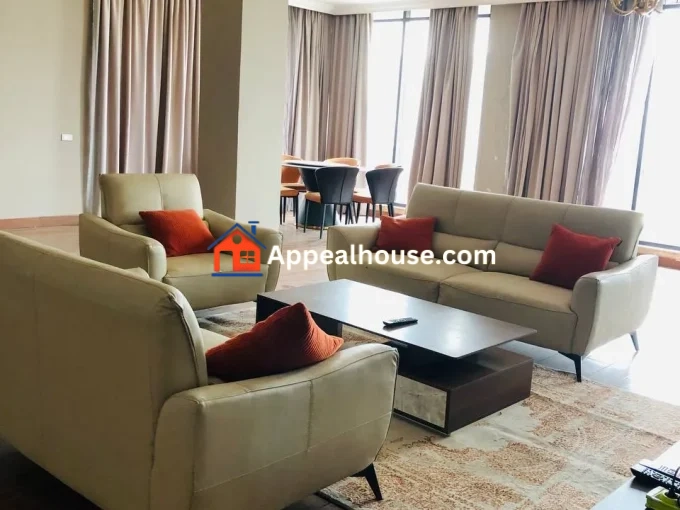 Fully furnished Penthouse for Rent in Bole, Addis Ababa Ethiopia