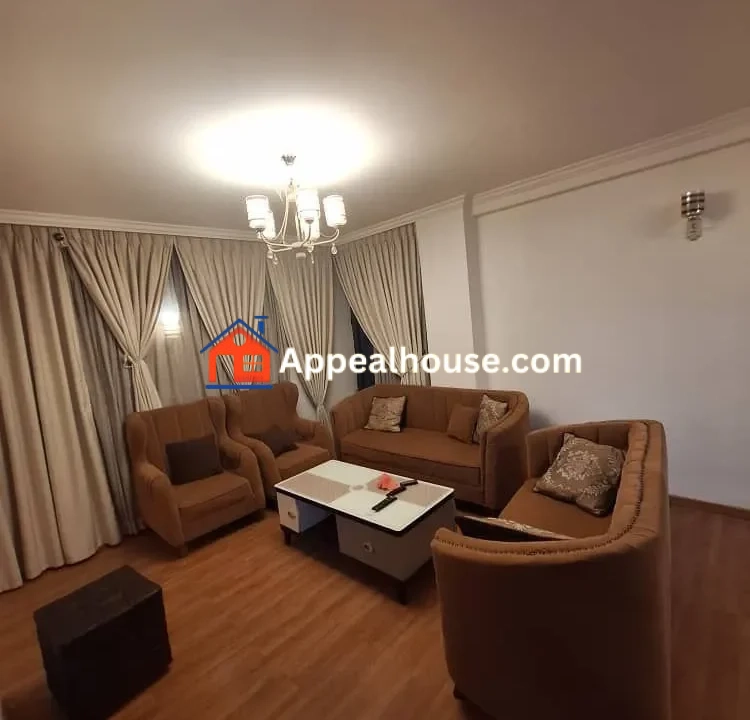 Furnished 2- Bedroom Apartment For Rent in Bole Flamingo 2