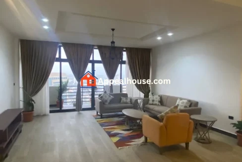 Spacious 3-Bedroom Furnished Apartment for Rent in Sarbet, Addis Ababa 3